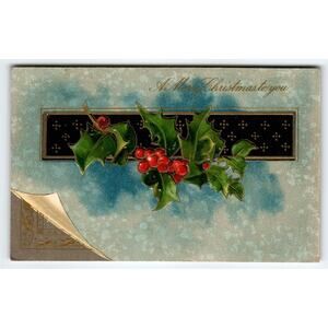 Vintage 1909 Embossed Christmas Postcard Holly Berries Scenic